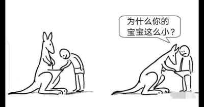这是一组由左右两幅图构成的黑白线稿连环梗图。左图中，一个卡通人类角色带着好奇的表情，伸手拉开了坐着的袋鼠的育儿袋，袋鼠则温和地配合着；右图中，袋鼠反过来拉开了人类的短裤，脸上带着疑惑的神情，对着人类问道：“为什么你的宝宝这么小？”，此时人类露出尴尬的表情站立着。<br>这张梗图利用袋鼠育儿袋和人类身体结构的错位类比，将人类的私密部位和袋鼠的育儿袋进行荒诞对比，制造出既滑稽又尴尬的笑点，用夸张的方式调侃身体差异。