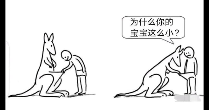 袋鼠