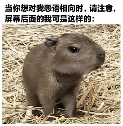 图片上方配有文字“当你想对我恶语相向时，请注意，屏幕后面的我可是这样的：”，下方是一张水豚的照片。水豚毛发呈灰褐色，正安静地坐在干草堆中，眼神呆萌，表情平静无害。整体通过文字与萌宠形象的结合，以幽默温和的方式表达当他人在网络上想恶语相向时，自己其实是像水豚一样无害可爱的存在，旨在化解潜在的网络冲突。