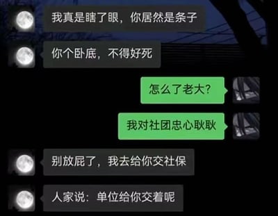 这张图是一组微信聊天截图，讲述了一场社团成员间的“身份质问”闹剧。一开始，月亮头像用户激烈地指责对方是“条子”（警察卧底），言语暴躁且攻击性强，极具“江湖”氛围。而被怀疑者则装傻问“怎么了老大？”，还补充“我对社团忠心耿耿”，表现出满满忠诚。但出人意料的是，对方语气陡转，忽然说“我去给你交社保”，并指出“单位给你交着呢”。 这里的“交社保”暗含双关：一方面是对社团忠心的反讽，另一方面揭示社团成员其实只是正常打工人，最终还是被社会体制收编。整体氛围幽默讽刺，彰显年轻人常见的身份错觉与现实冲突。

梗中“社保”“卧底”和“单位”形成反差，具有调侃意味。