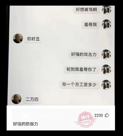 这是一张聊天记录截图，展示了一场有趣的对话。一方主动要求被骂和羞辱，另一方先用'你好丑'攻击，当轮到对方反击问'你一个月工资多少'时，对方回答'二万四'，展现了'好强的防御力'。神评论'好强的防御力'完美总结了这反转的幽默效果。