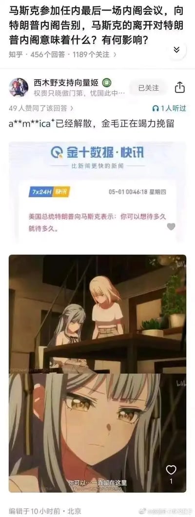 这是知乎平台上针对「马斯克参加任内最后一场内阁会议，向特朗普内阁告别，马斯克的离开对特朗普内阁意味着什么？有何影响？」问题的玩梗回答。答主将金十数据的时政快讯截图与动画《BanG Dream! It's MyGO!!!!!》的名场面截图拼接，快讯内容为「美国总统特朗普向马斯克表示：你可以想待多久就待多久」，动画截图的台词是「你可以…一直留在这里」，二者内容呼应形成梗点。

梗点说明：答主的回答开头「a**m**ica*已经解散，金毛正在竭力挽留」是谐音梗，a**m**ica*指代America（美国），「金毛」指代特朗普，用调侃的方式回应时政相关问题。