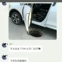 这是一张聊天记录截图，上方是一张视觉错位的实拍照片：一辆白色汽车打开的车门，恰好与地面的井盖位置重合，视觉上仿佛车门是用来盖住井盖的。下方的聊天对话中，一人疑惑发问“车主出去了为什么车门还开着”，另一人脑洞大开回复“不也防东西掉吗”，利用视觉错位的巧合制造出荒诞搞笑的效果，让人忍俊不禁。