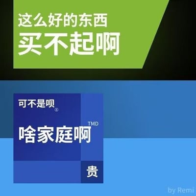 这是一张静态图文梗图，整体模仿微软Windows系统的经典色块UI风格设计，上半部分为绿色斜角色块，配有白色文字“这么好的东西 买不起啊”，下半部分为深浅不同的蓝色方块组合，配有白色文字“可不是呗 啥家庭啊 TMD 贵”，右下角标注有创作者署名“by Remi”，整体用直白的口语化内容表达面对高价物品时的无奈与自嘲心态。