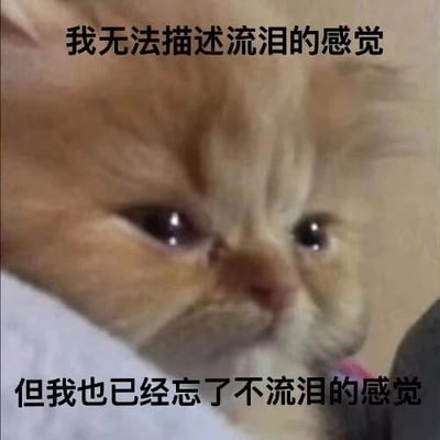 这是一张文字加注类的静态单图，同时也是表情素材图。图中主体是一只橘色长毛小猫，它眼眶湿润，神态委屈低落，看起来正处于流泪的状态，似乎被人托在怀中。图片上方配有文字“我无法描述流泪的感觉”，下方配有文字“但我也已经忘了不流泪的感觉”，通过小猫悲伤的神态与充满伤感的文案相结合，精准地表达出长期沉浸在难过、低落情绪中，已经习惯悲伤的状态，常被用作表情包，在社交媒体或日常聊天中抒发负面情绪。