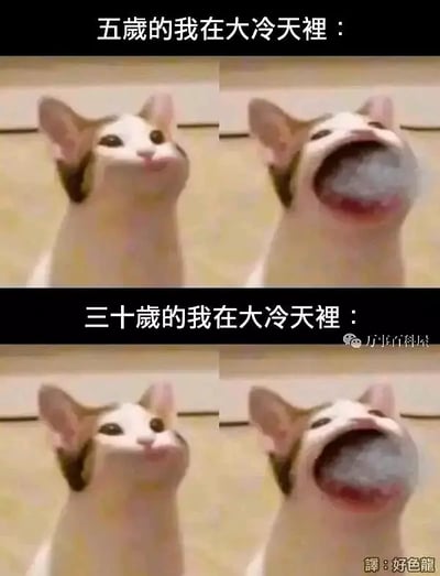 这张图片用猫咪的搞怪表情对比小孩和大人面对寒冷天气时的不同反应。上面文字是“五岁的我在大冷天里”，下面是“三十岁的我在大冷天里”。配图中猫咪先是表情淡定，然后下一帧变成张着大嘴，突出夸张、无奈的氛围。对比成长前后的抗寒能力和心态，非常有代入感。图片风格幽默自嘲。无明显谐音梗或深层暗示。