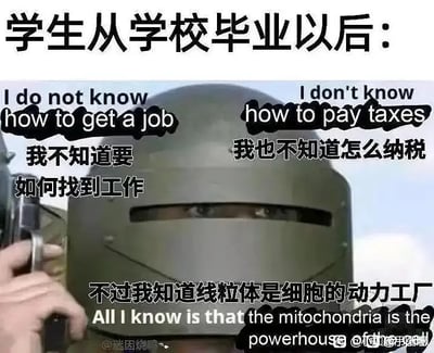 这张梗图以搞笑的方式反映了很多学生在毕业后面对社会的迷茫：他们不知道如何找工作，也不懂如何纳税，但却牢牢记得生物课上学的“线粒体是细胞的动力工厂”。配图是一位戴钢盔的人，露出迷茫的眼神，突出学生在实际技能和社会知识上的缺失，引发共鸣与自嘲。

该图有明显的讽刺和反差效果：用严肃的军盔形象配合“只知道线粒体”，暗示学生只学了与实际生活无关的知识。
