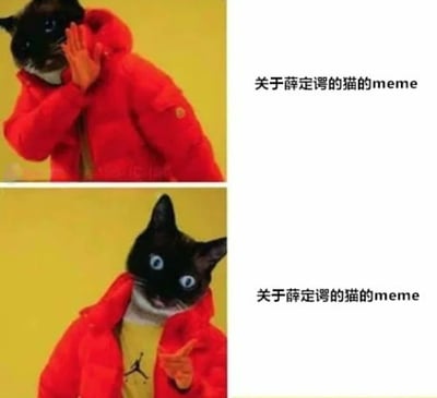一张双格meme图，展示了一只穿着红色外套的黑猫的两种表情。上格中猫用爪子捂着脸，下格中猫睁大眼睛并用爪子指向前方。右侧配有文字'关于薛定谔的猫的meme'，幽默地将物理学概念与猫的表情结合。