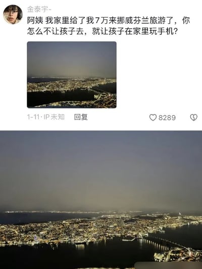 图片为社交媒体评论截图，上方显示用户“金泰宇-”的评论内容：“阿姨 我家里给了我7万来挪威芬兰旅游了，你怎么不让孩子去，就让孩子在家里玩手机？”，评论下方附带一张城市夜景照片，显示有8289个点赞，时间戳为“1-11·IP未知”。图片下半部分是同一张城市夜景的放大图，整体呈现出用户通过展示旅游经历来对比并质问他人育儿方式的场景。