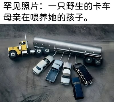 图片上方有黑色文字标题'罕见照片：一只野生的卡车母亲在喂养她的孩子。'，下方是一张合成图像：一辆黄色车头的银色油罐卡车停在灰色地面上，油罐下方连接着多根软管，分别通向五辆不同颜色（白色、灰色、黑色等）的小型汽车，这些小汽车围绕在卡车周围，呈现出幼崽吸食母乳的姿态。图片通过将卡车拟人化为'母亲'、小汽车拟人化为'孩子'，用动物哺育的场景来比喻交通工具，制造出荒诞又搞笑的幽默效果。