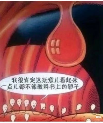 这是一张搞笑风格的卡通梗图，画面将人体生殖道环境绘制成红棕色的通道，前方的子宫被创意画成带窗户的房子形态。一群拟人化的精子在通道中，其中一个精子的对白气泡里写着「我很肯定这玩意儿看起来一点儿都不像教科书上的卵子」，用拟人化的认知错位，把严肃的生理知识用荒诞搞笑的方式解构，制造出反差笑点。