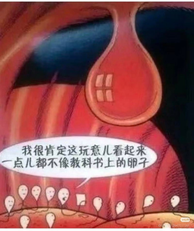 网络原创梗图
