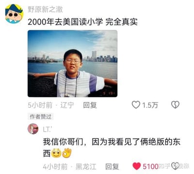 社交媒体用户“野原新之澈”发布一张声称2000年在美国读小学时拍摄的照片，配文“2000年去美国读小学 完全真实”。照片中是一位戴眼镜的男孩站在水边，背景有城市天际线。下方有一条热门评论来自“LT.”，内容为“我信你哥们，因为我看见了俩绝版的东西😂👌”，暗示照片中存在与2000年美国背景不符的“绝版”元素，形成幽默调侃效果。