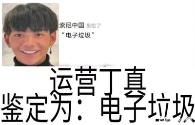 这是一张网友制作的网络梗图，采用图文混排的形式。左上角是面带笑容的丁真真人照片，照片右侧配有模拟社交媒体投票的文字“索尼中国 投给了‘电子垃圾’”，图片下方使用醒目的大号字体标注“运营丁真 鉴定为：电子垃圾”。该梗图结合了丁真的网络热度，模仿了网络上流行的“鉴定为”类评价句式，将丁真的形象与对劣质电子产品的负面评价“电子垃圾”绑定，以此调侃被认为质量不佳的电子产品，增添趣味传播效果，图片右下角带有百度贴吧的水印。