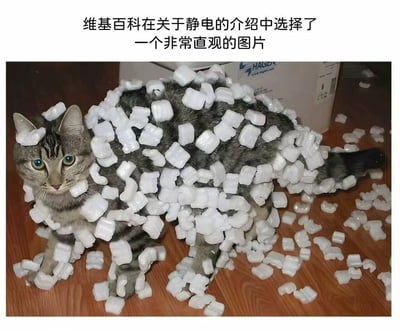 这张图展示了一只虎斑猫浑身沾满了白色的泡沫缓冲粒，猫咪眼神无奈又疑惑地看向镜头，地面上也散落着不少泡沫粒。上方配文“维基百科在关于静电的介绍中选择了一个非常直观的图片”，用猫咪被静电吸附泡沫粒的真实场景，生动又搞笑地展示了静电的吸附效果，没有双关或谐音梗。