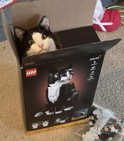 一只黑白相间的猫咪从一个打开的乐高IDEAS系列猫模型盒子中探出头来，眼睛圆睁，表情好奇。盒子上印有乐高猫模型的图片，与真实猫咪形成有趣对比。周围散落着一些乐高零件包装袋，显示这可能是一个刚打开的乐高套装。猫咪选择钻进装猫模型的盒子，展现了猫咪喜欢盒子的天性，画面十分可爱有趣。
