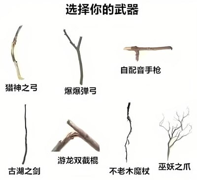 这是一张搞笑梗图，标题为“选择你的武器”，画面中展示了六根形态各异的普通树枝/木棍，却被赋予了极具史诗感的名称，分别是“猎神之弓”“爆爆弹弓”“自配音手枪”“古湖之剑”“游龙双截棍”“不老木魔杖”“巫妖之爪”。通过将平凡的自然物品与虚构的强力武器名称结合，形成强烈反差萌，营造出幽默效果。