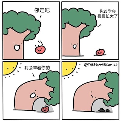这是一组四格拟人化卡通漫画，讲述了苹果树与苹果的故事：第一格中，苹果树笑着对从自己身上掉落的苹果说“你走吧”；第二格，苹果树继续对落在地面的苹果说道“你该学会慢慢长大了”；第三格，太阳升起，苹果树弯下自己的身躯，将苹果罩在自己的树荫下，温柔地说“我会罩着你的”；第四格，被完全遮挡住阳光的苹果在树荫下彻底腐烂成了几块黑色的腐坏物，苹果树看着这一幕露出了无奈低落的神情。漫画用温暖的开头和扎心的结尾形成强烈反差，隐喻了过度的保护反而会阻碍个体成长，最终导致其走向衰败的现实道理。