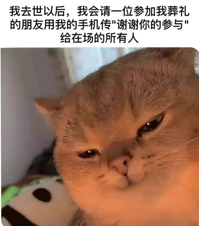 图片上半部分是一段黑色幽默文字："我去世以后，我会请一位参加我葬礼的朋友用我的手机传'谢谢你的参与'给在场的所有人"。下半部分是一只橘猫的特写照片，猫咪表情看起来有些不屑和冷漠，眼神半眯，似乎对这个荒诞的想法表示无奈或认同。文字内容与猫咪表情形成有趣的反差萌，营造出一种黑色幽默的效果。