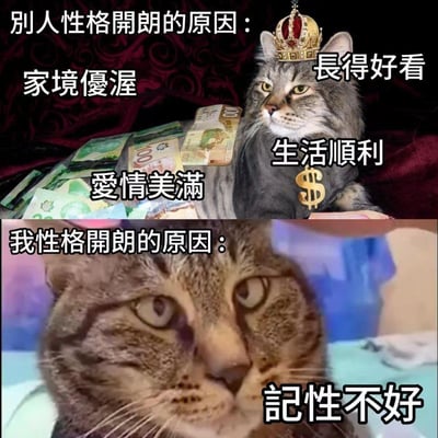 这是一张上下分栏的对比类梗图：上半部分是经过PS加工的富贵猫咪，头戴皇冠、趴在钞票堆中，配文列出「别人性格开朗的原因」：家境优渥、爱情美满、长得好看、生活顺利；下半部分是眼神涣散呆滞的「痴呆猫」表情包，配文「我性格开朗的原因：记性不好」。通过强烈的反差感，用自嘲的方式制造搞笑效果，没有双关或谐音梗。