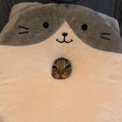 图片中展示了一个设计成猫咪脸部的毛绒玩偶，玩偶主体为米白色，脸部上方是灰色的，带有黑色的眼睛、胡须和微笑的嘴巴。在玩偶的正中央有一个圆形的洞，一只真实的虎斑猫从洞中探出头来，露出了好奇的眼神。整体画面可爱又治愈，真实猫咪与玩偶猫咪的结合产生了有趣的视觉效果。