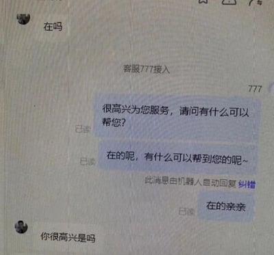 这是一张单张的聊天记录静态截图，记录了咨询用户与平台客服777的互动过程。用户首先发送消息“在吗”发起咨询，随后客服777接入，连续发送了三条自动回复内容，分别是“很高兴为您服务，请问有什么可以帮您？”“在的呢，有什么可以帮到您的呢~”（该消息标注了“此消息由机器人自动回复 纠错”）以及“在的亲亲”，用户在收到客服的多条重复自动回复后，抓住第一条回复里的“很高兴”进行反问：“你很高兴是吗”，形成了一段带有调侃趣味的对话，利用客服的标准化自动回复制造出反差笑点。