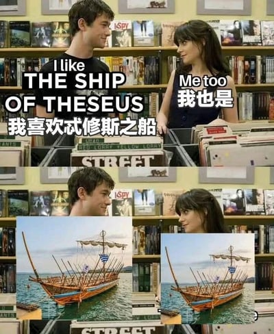 这是一张双关语梗图，分为上下两部分。上半部分显示一男一女在图书馆对视，男生说："I like THE SHIP OF THESEUS 我喜欢忒修斯之船"，女生回应："Me too 我也是"。下半部分是相同场景，但在两人之间插入了两艘古希腊船只的图片。

双关含义：男生指的是哲学悖论"忒修斯之船"，而女生误解为字面意义上的船，因此图片中加入了真实船只的图像来表现这种误解。