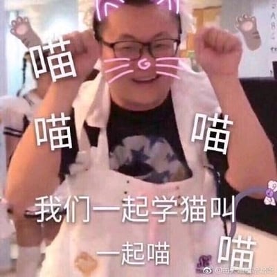 这是一张经过P图改编的搞笑表情包，图中是网络红人孙笑川（带带大师兄），他双手举起放在头两侧模仿猫咪的动作，脸上被添加了粉色猫须、猫鼻子的特效，头上还有粉色猫耳特效，同时图中覆盖了热门歌曲《学猫叫》的歌词：“喵 喵 喵 我们一起学猫叫 一起喵 喵”，利用严肃的人物形象与可爱的学猫叫内容形成强烈反差，制造出滑稽搞笑的效果，适合用来玩梗或搞笑互动。