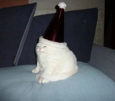 一只白色的猫咪坐在蓝色沙发上，头上戴着一顶红色的圣诞帽，帽子顶部有白色绒球。猫咪双眼紧闭，表情看起来平静又带点慵懒，背景是深色的沙发靠垫和浅色的墙壁，整体氛围温馨可爱，充满圣诞节日气息。