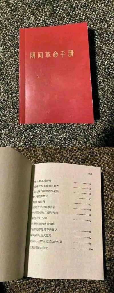 这是一本网友自制的恶搞实体书，封面为红色，印有金色字体的《阴间革命手册》，内页目录充满了将现实社会科学议题与阴间奇幻设定结合的荒诞内容，比如「孤魂野鬼革命的必要性」「业力轮回制度的反动性」「阴间无政府主义运动的可能」等，把现实中的革命、社会批判理论套用到阴间孤魂野鬼的语境里，充满黑色幽默与脑洞创意。
没有双关、谐音梗，纯靠荒诞的设定反差制造笑点。