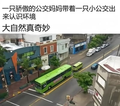 这是一张从高空视角拍摄的城市街道日常场景图，道路上一辆大型绿色公交车与一辆同色系的小型面包车先后行驶，二者颜色一致、尺寸呈现明显的大小对比。画面上方添加了趣味配文“一只骄傲的公交妈妈带着一只小公交出来认识环境 大自然真奇妙”，将两辆车拟人化为母子，用拟人的创意手法赋予普通街景诙谐有趣的氛围，制造出反差萌的搞笑效果，让原本平淡的城市交通场景变得生动有趣。画面中还能看到街道两侧的建筑、停放的车辆以及路边的行人，呈现出真实的城市生活风貌。
