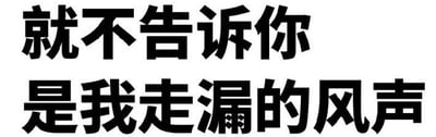 这是一张纯文字图片，背景为白色，上面用黑色粗体中文写着“就不告诉你 是我走漏的风声”。整体风格简洁直白，文字内容带有俏皮和戏谑的语气，通常用于在开玩笑的语境中，半开玩笑地承认是自己泄露了某个消息或秘密，给人一种轻松幽默的感觉。