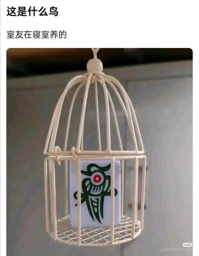 图片上方配有文字“这是什么鸟 室友在寝室养的”，下方主体为一个白色金属鸟笼，笼内悬挂着一块麻将牌——正是麻将中的“一条”（幺鸡），牌面上印有绿色的鸟形图案。通过将印有鸟图案的麻将牌放入鸟笼，营造出“室友在寝室养了只麻将鸟”的幽默效果，属于典型的谐音梗+视觉错位类搞笑内容。