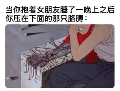这张梗图用夸张的方式幽默地表现了抱着女朋友睡一晚后，被压在下面的胳膊麻木的感觉。图片上方配有文字“当你抱着女朋友睡了一晚上之后 你压在下面的那只胳膊：”，下方则是《钢之炼金术师》中爱德华·艾尔利克的经典场景截图，展示了他那只损坏的机械义肢，上面布满了暴露的电线和零件，配合他痛苦的表情，形象地传达了胳膊麻木到仿佛“坏掉”的感受。