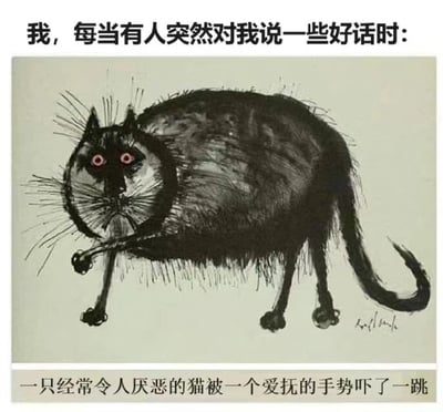图片上方配有文字“我，每当有人突然对我说一些好话时：”，中间是一幅手绘风格的插画，描绘了一只黑色的猫，毛发杂乱，眼睛通红，表情显得十分惊恐，身体微微后缩。图片下方文字补充说明“一只经常令人厌恶的猫被一个爱抚的手势吓了一跳”。整体通过猫的惊恐反应，幽默地表达了人们在收到突如其来的赞美时，内心可能产生的警惕或不知所措的情绪。