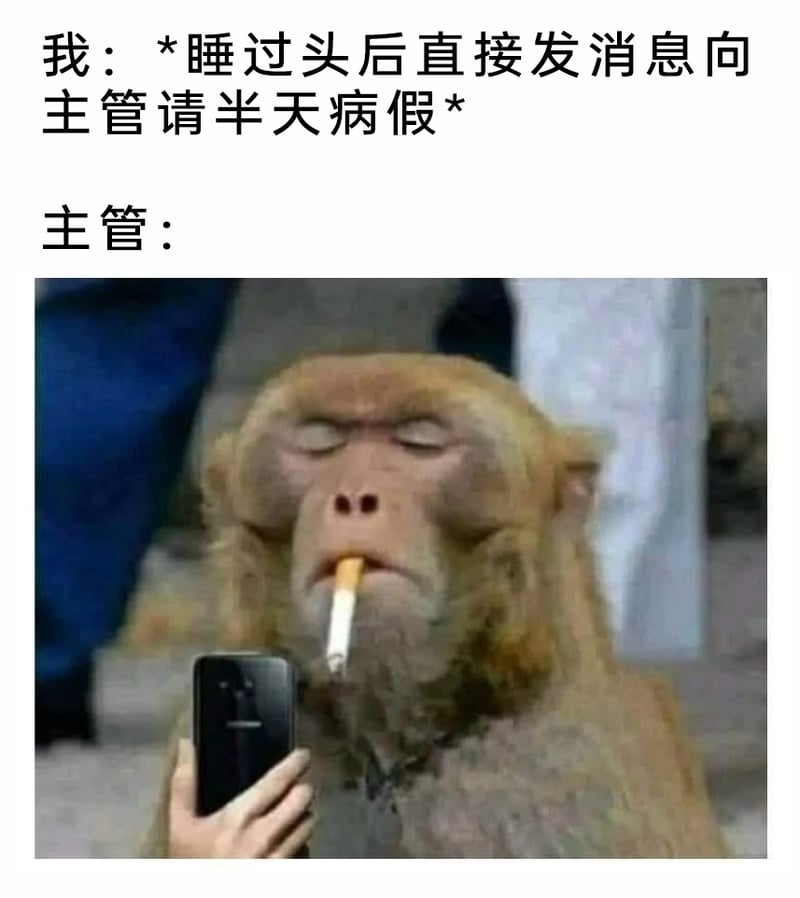 公司部门主管