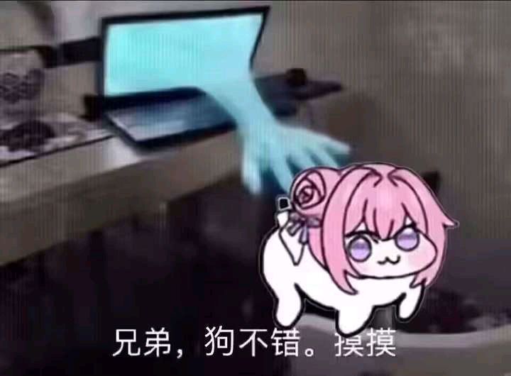 Doro表情包：兄弟，狗不错。摸摸