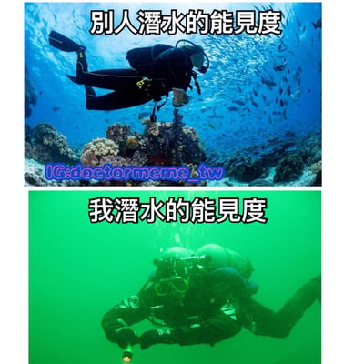 这是一张上下对比的潜水场景梗图。上图展示了理想中的潜水环境：清澈的蓝色海水中，一名潜水员周围环绕着大量鱼群，海底有色彩丰富的珊瑚礁，能见度极高。下图则展示了现实中可能遇到的情况：浑浊的绿色海水中，潜水员几乎看不清周围环境，只能依靠手电筒照明，能见度极低。通过这种强烈对比，幽默地表现了理想与现实的差距。