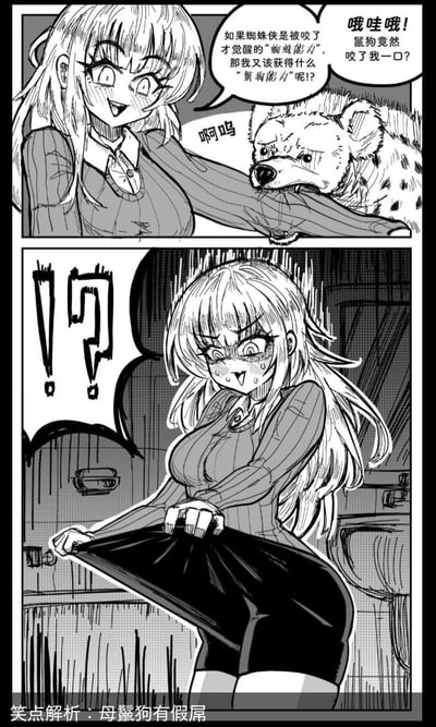 这是一张两格黑白漫画风格的搞笑梗图。上格中，一位金发女生被一只鬣狗咬到手臂，她兴奋地联想到蜘蛛侠被蜘蛛咬后获得超能力的设定，大喊：'如果蜘蛛侠是被咬了才觉醒的'蜘蛛能力'，那我又该获得什么'鬣狗能力'呢？'并发出'哦哇哦！鬣狗竟然咬了我一口？'的惊呼。

下格中，女生表情突然变得极度震惊，满头大汗，双手掀起自己的裙子，旁边配有巨大的'！？'符号。图底部有'笑点解析：母鬣狗有假屌'的文字说明，揭示了这个梗的来源——利用母鬣狗具有假阴茎这一生物学特征制造的幽默联想。