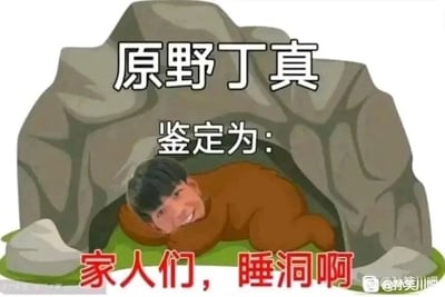 这是一张P图改编的网络搞笑梗图，创作者将真人丁真的脸部合成到一个棕色的卡通原始生物身体上，让这个合成形象面带笑容地趴在灰色山洞的洞口。图中配有三段文字，最上方为白色字体的“原野丁真”，中间是白色字体的“鉴定为：”，最下方是醒目的红色字体“家人们，睡洞啊”。这张图运用了网络流行的“鉴定为”句式，同时“睡洞”是谐音“树洞”的梗，将丁真的形象与原始洞穴场景结合，营造出一种反差感十足的戏谑幽默效果，属于网络二次创作的搞笑内容，用来博人一笑。