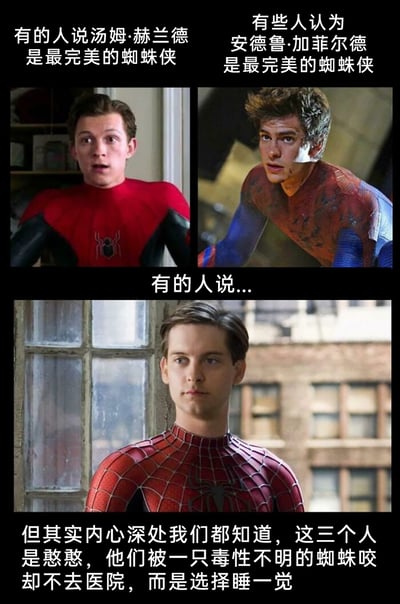 这是一张网友制作的拼接式搞笑梗图，画面分为上下三部分：上方左右区域分别展示汤姆·赫兰德饰演的漫威电影宇宙版蜘蛛侠、安德鲁·加菲尔德饰演的《超凡蜘蛛侠》版蜘蛛侠，对应配文分别为“有的人说汤姆·赫兰德是最完美的蜘蛛侠”“有些人认为安德鲁·加菲尔德是最完美的蜘蛛侠”；下方区域是托比·马奎尔饰演的初代真人版蜘蛛侠，配文“有的人说...”；最后在图的最底部用文字吐槽：“但其实内心深处我们都知道，这三个人是憨憨，他们被一只毒性不明的蜘蛛咬却不去医院，而是选择睡一觉”。这张图跳出了“哪个版本蜘蛛侠最完美”的常规讨论，从现实逻辑出发调侃三代蜘蛛侠的共同经历，用反差感制造搞笑效果。