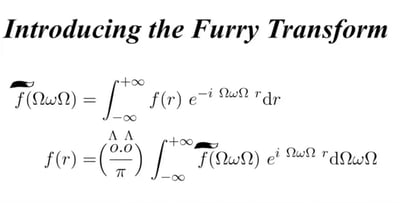 这是一张恶搞数学领域傅里叶变换的趣味梗图，将傅里叶变换（Fourier Transform）谐音为“毛茸茸变换（Furry Transform）”，把公式中的频率域符号替换为形似兽耳的“ΩωΩ”，逆变换的系数也替换为带有波浪线的“o.o”（模拟兽类的脸部），用可爱的兽圈相关符号替换严肃的数学符号，通过反差感制造搞笑效果，同时玩了Furry与Fourier的谐音梗，兼顾数学爱好者的梗和兽圈爱好者的趣味点。