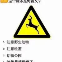 交通标志图案