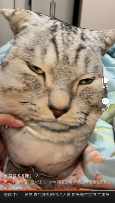 图片主体为一个猫脸造型的抱枕，印有高度写实的猫脸图案，猫咪表情略带严肃和不耐烦，眼神斜睨。一只手正轻轻触碰抱枕的脸颊，背景可见浅色墙壁和部分家具。图片下方有文字叠加，包括用户名“@菠萝冬冬咪 (¬_¬)”、产品信息“尺寸:双面印刷·最大弧长35cm 颜色分类:升级加厚超柔钻石绒-填充优质棉”以及一句幽默评价“兄弟真的帅丑的惨绝人寰 惊天地泣鬼神 完美展”。整体风格轻松搞笑，通过“帅丑”这一矛盾形容，突出抱枕造型既逼真又略带荒诞的喜剧效果。