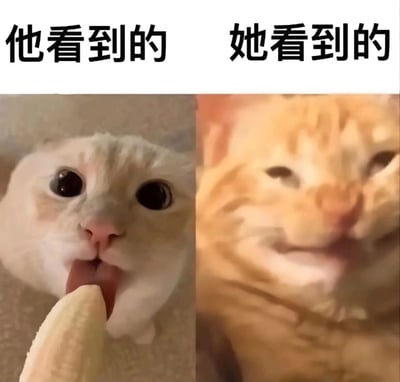 这是一张左右对比的梗图，通过两只猫咪的不同反应来幽默展现男女视角差异。左边标题为"他看到的"，配图是一只白猫睁着圆溜溜的大眼睛，嘴巴微张盯着前方的香蕉，表情充满好奇和惊讶；右边标题为"她看到的"，配图是一只橘猫眯着眼睛，嘴角上扬，露出满足的微笑表情。图片通过可爱的猫咪形象和夸张的表情对比，以轻松诙谐的方式呈现了不同性别可能存在的视角差异。