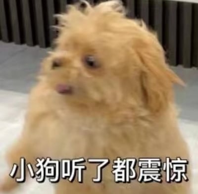 图片中是一只毛茸茸的浅棕色小狗，毛发略显凌乱，它侧着头看向左侧，眼睛睁大，嘴巴微张，露出粉色的舌头尖，表情看起来十分震惊。图片底部有一行加粗的白色文字，带有黑色边框：“小狗听了都震惊”，整体营造出一种听到极其不可思议事情后的夸张反应效果，常被用于幽默地表达对某件事的强烈震惊情绪。