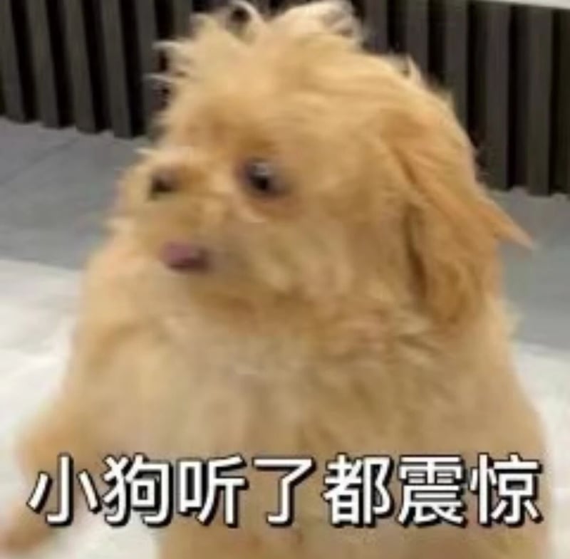 小棕狗