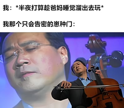 这张梗图用幽默的方式展现了一个生活场景：上半部分文字描述"我：半夜打算趁爸妈睡觉溜出去玩"，下半部分配图是一位表情严肃的大提琴演奏者，文字标注"我那个只会告密的崽种门："。通过拟人化的手法，将家里的门比作会告密的"崽种"（网络流行语，意为讨厌的家伙），形成了有趣的反差萌，让人联想到自己偷偷摸摸时被意外发现的经历。