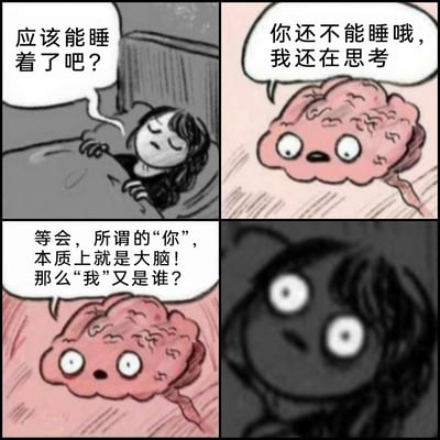 这是一幅四格连环卡通漫画，第一格中，一位卡通女性躺在床上、盖着被子，带着困倦的神情自言自语“应该能睡着了吧？”；第二格中，拟人化的大脑带着严肃的表情回应“你还不能睡哦，我还在思考”；第三格中，大脑突然露出疑惑震惊的表情，提出哲学疑问“等会，所谓的‘你’，本质上就是大脑！那么‘我’又是谁？”；第四格中，原本准备睡觉的女性瞪大双眼，露出极度震惊的神情，显然被这个关于自我本质的哲学问题强烈冲击。漫画以日常失眠的场景为切入点，通过拟人化的大脑制造荒诞感，引出关于自我意识与大脑关系的深层哲学思考，兼具趣味性与思辨性。