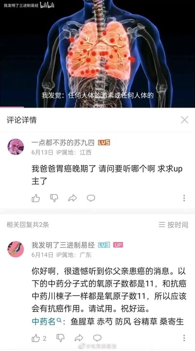 图片上半部分为人体肺部医学插图，显示红色高亮区域；下半部分为社交媒体评论区截图。用户"一点都不苏的苏九四"留言求助父亲胃癌晚期的治疗建议，而UP主"我发明了三进制易经"则基于所谓"氧原子数11"的牵强理由，推荐鱼腥草、赤芍等中药，存在伪科学误导风险。